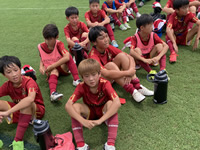 2026年最新情報