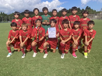 2026年最新情報