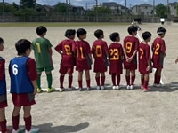 2026年最新情報