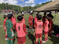 2026年最新情報