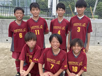 2026年最新情報