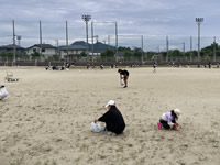 2026年最新情報